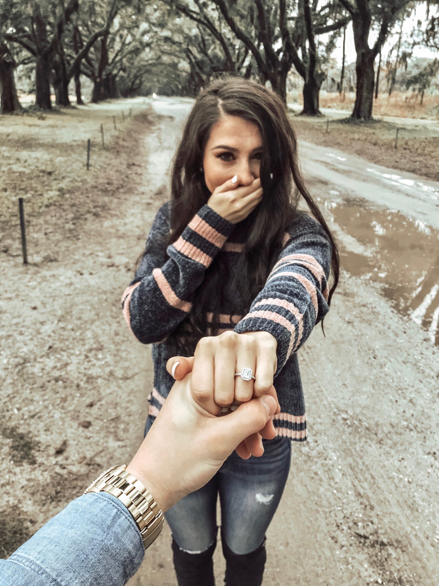 Wormsloe Savannah Proposal